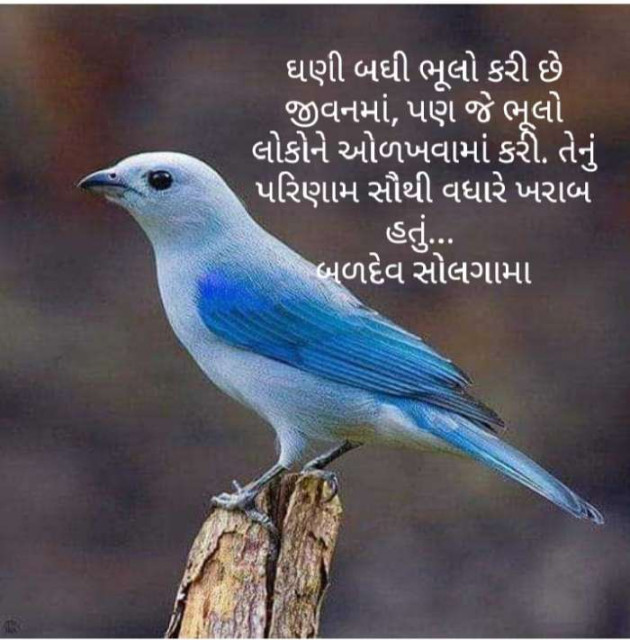 Gujarati Motivational by Baldev Solgama : 111554119