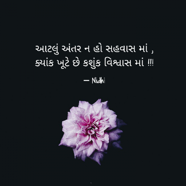 Gujarati Good Night by Nidhi kothari : 111555787