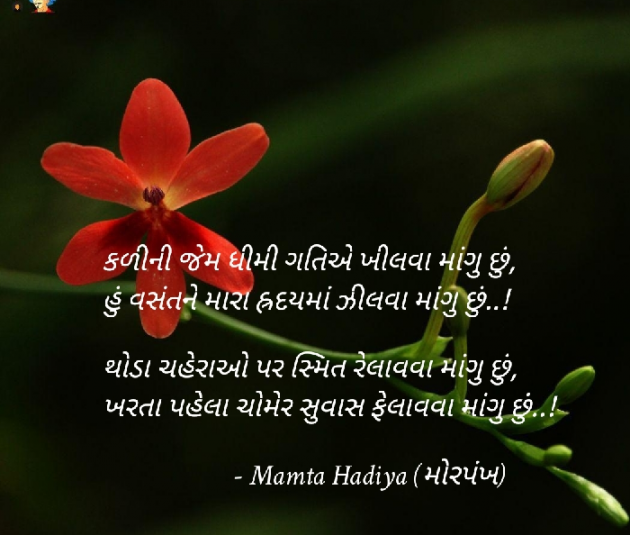 Gujarati Poem by Mamta : 111556697