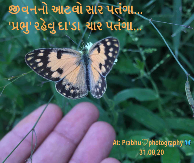 Gujarati Romance by પ્રભુ : 111557418