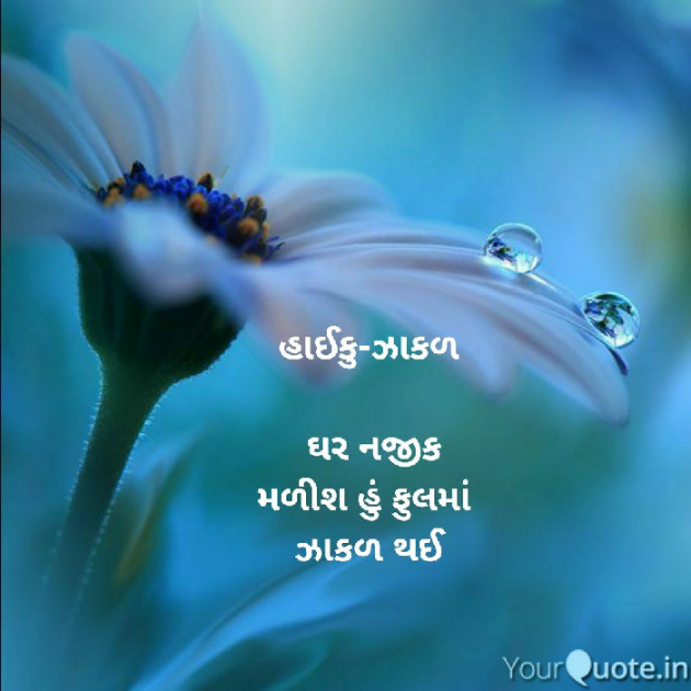 Gujarati Hiku by Girish Makwana : 111558449
