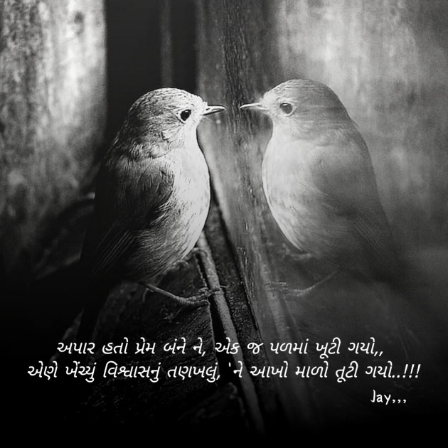 Gujarati Blog by Jay _fire_feelings_ : 111559902