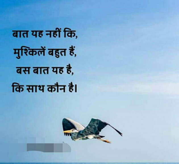 Hindi Whatsapp-Status by Haresh Shah : 111560622