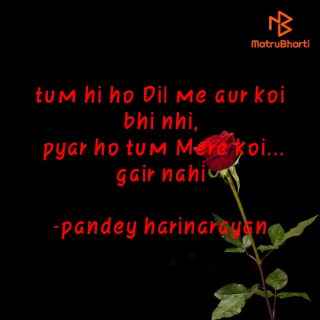 English Shayri by pandey harinarayan : 111560670