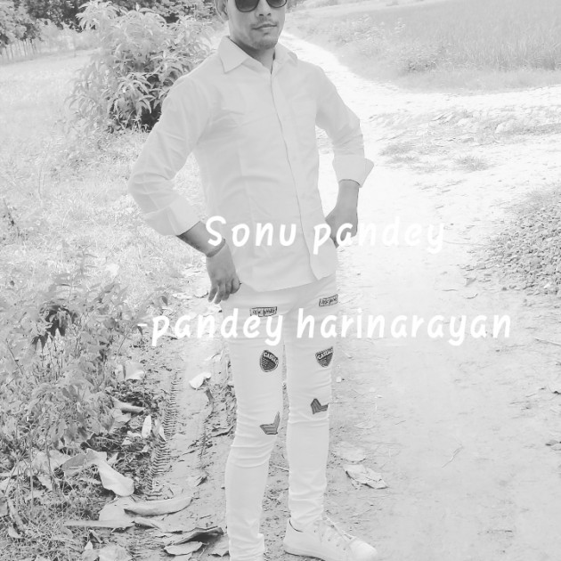 Hindi Good Morning by pandey harinarayan : 111561247