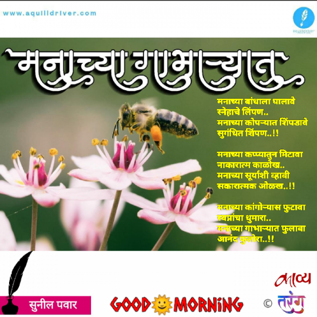 Marathi Quotes by S. P. : 111562451