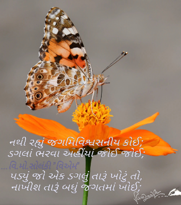 Gujarati Motivational by વિનોદ. મો. સોલંકી .વ્યોમ. : 111562716
