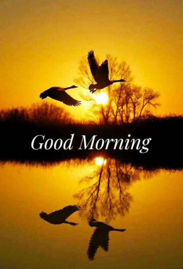 Marathi Good Morning by Rajshree : 111563976