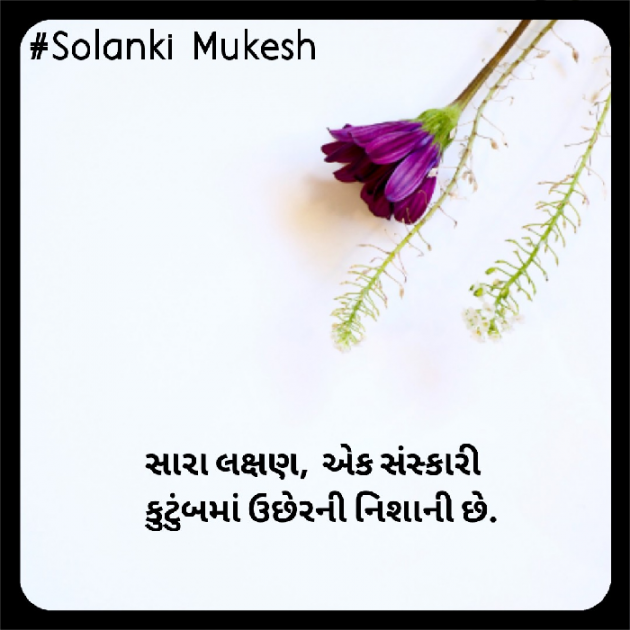 Gujarati Blog by Solanki Mukesh : 111564043