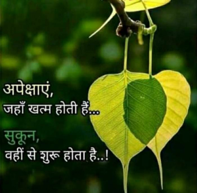 Gujarati Quotes by Jayesh Savliya : 111564554