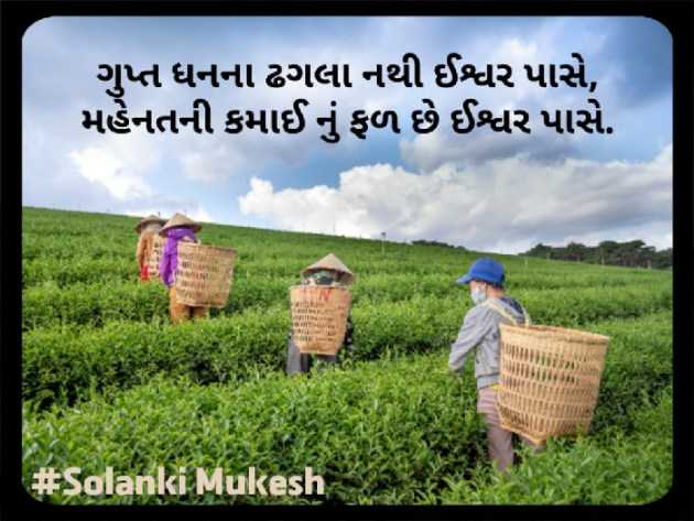 Gujarati Blog by Solanki Mukesh : 111564901