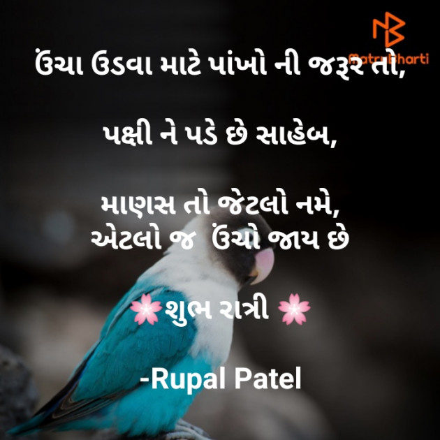 Gujarati Good Night by Rupal Patel : 111565342