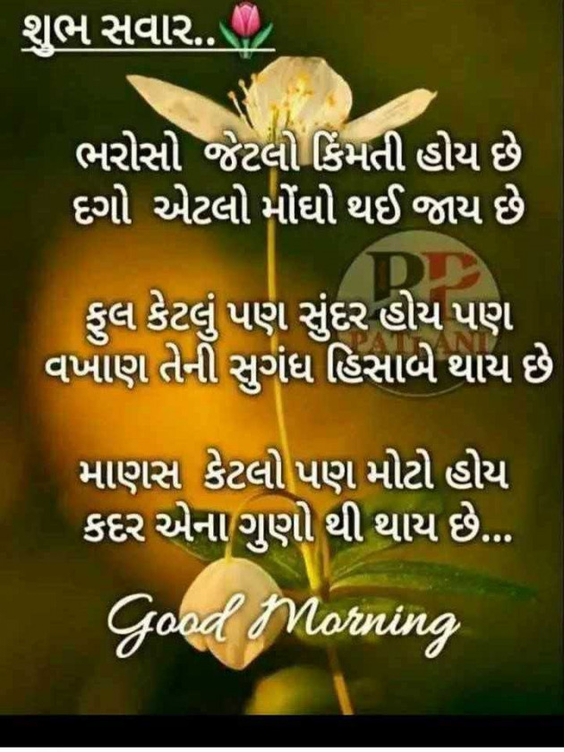 Gujarati Good Morning by Vaghela Niya : 111565640