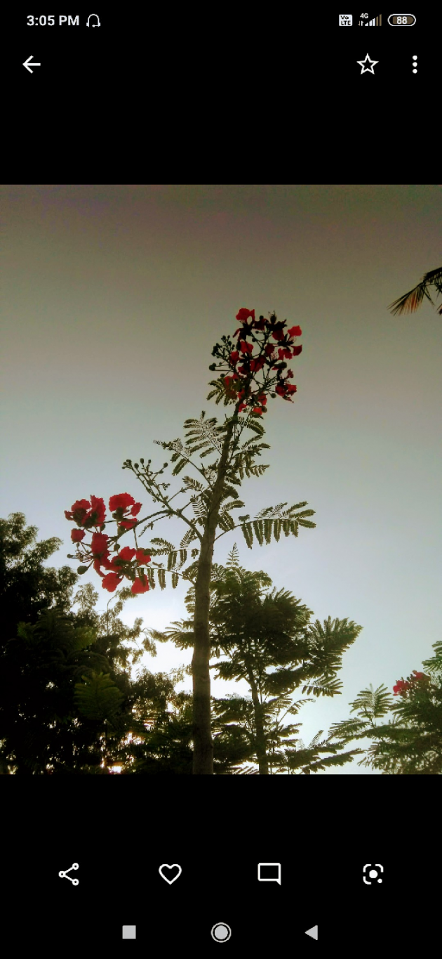 Hindi Good Morning by Ahilya Ghanate : 111565677