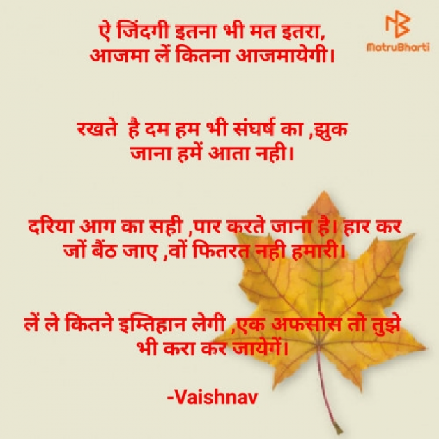 Hindi Poem by Vaishnav : 111565770