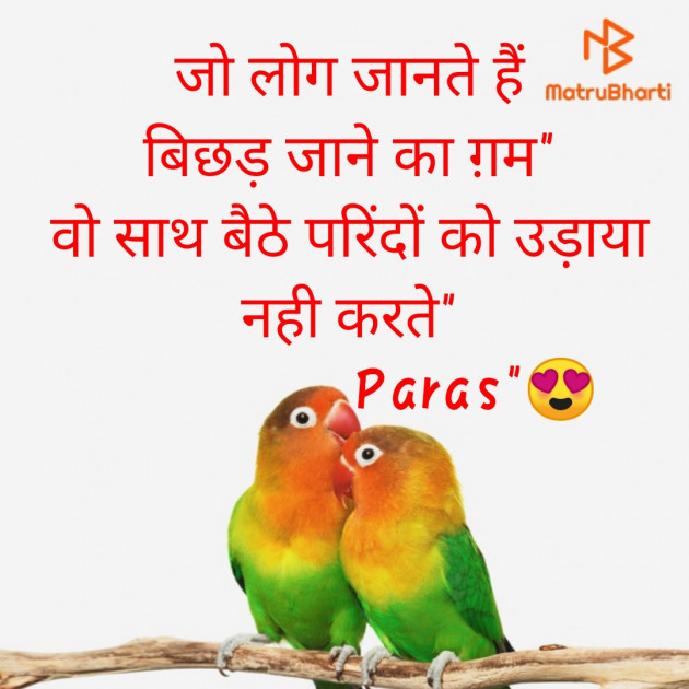 Hindi Shayri by PARAS SHARMA : 111567036