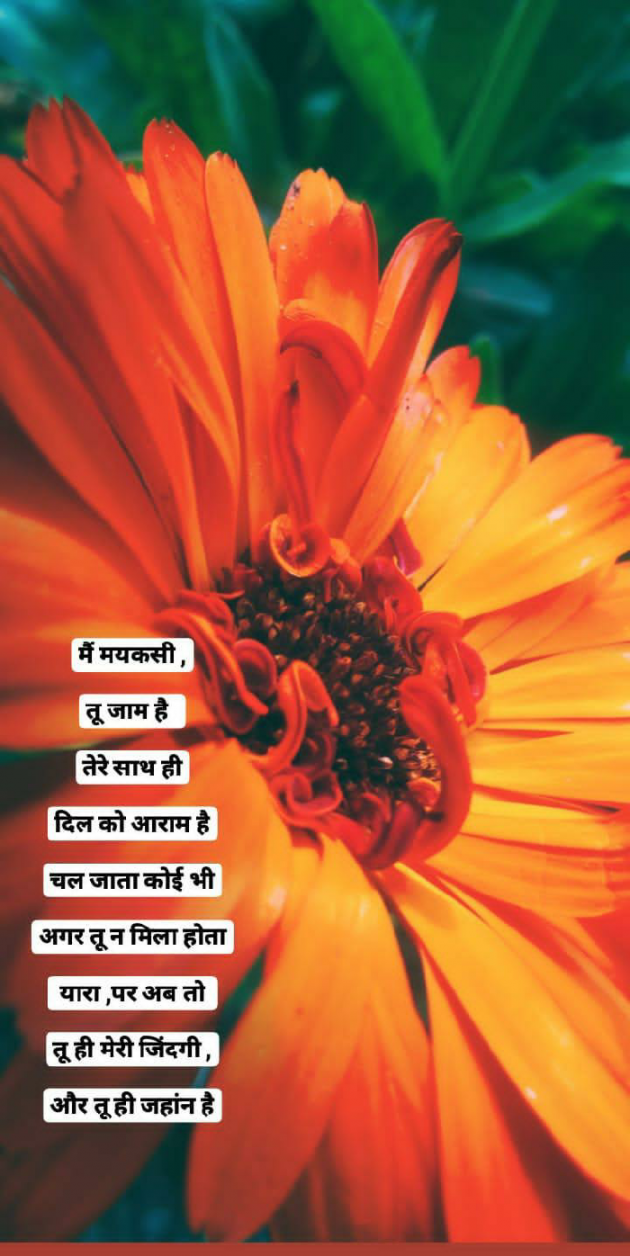 English Shayri by अvii miश्र : 111567178
