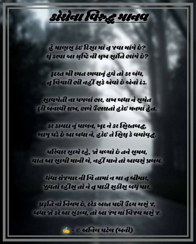 English Poem by Anil Patel_Bunny : 111567794