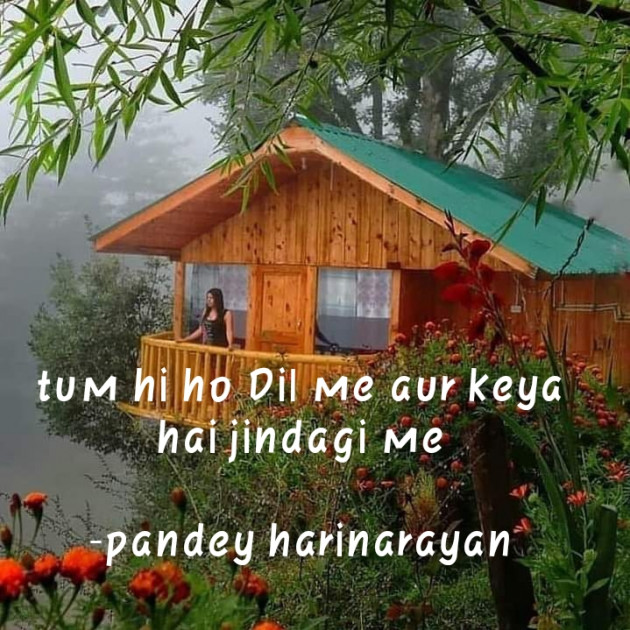 Hindi Poem by pandey harinarayan : 111568324