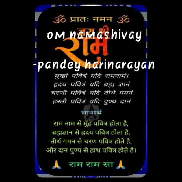 Hindi Poem by pandey harinarayan : 111568346