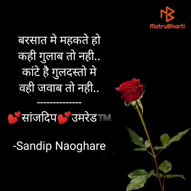 Hindi Quotes by Sandip Naoghare : 111569655