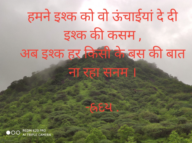 Hindi Shayri by Jadeja Ravubha P : 111570177