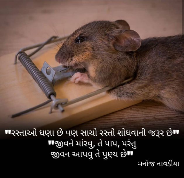 Gujarati Quotes by મનોજ નાવડીયા : 111570264