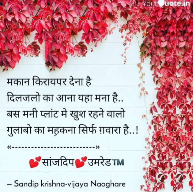 English Quotes by Sandip Naoghare : 111570308