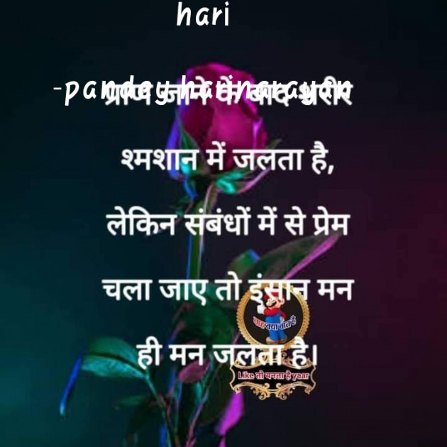 Hindi Poem by pandey harinarayan : 111570983