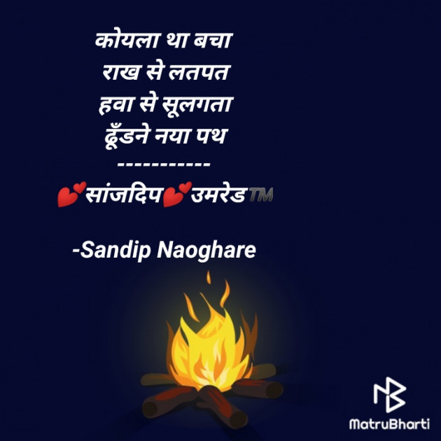 Hindi Quotes by Sandip Naoghare : 111571247