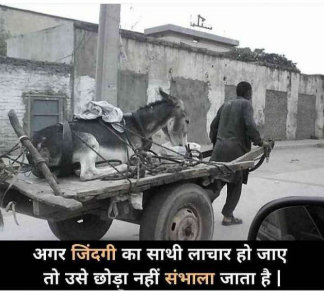 Hindi Thought by mim Patel : 111571499