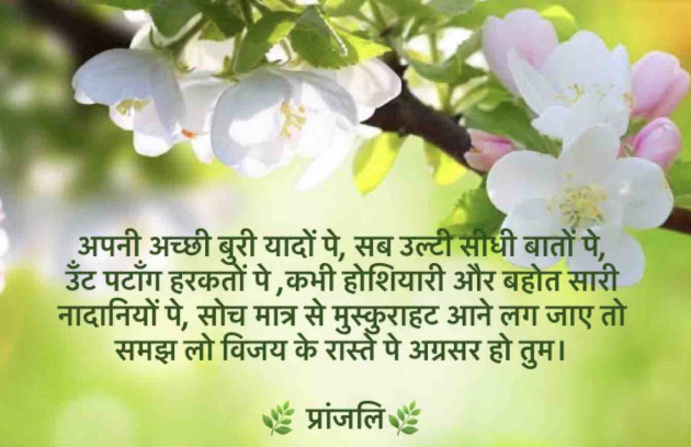 Hindi Quotes by Pranjali : 111571636