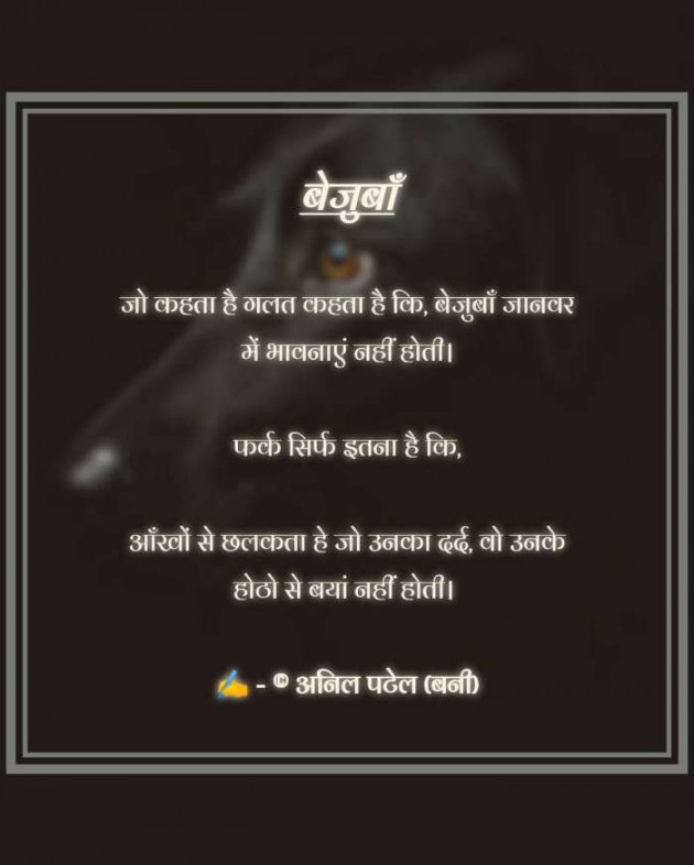 Hindi Thought by Anil Patel_Bunny : 111571883