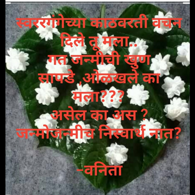 Marathi Quotes by Vanita Bhogil : 111571974