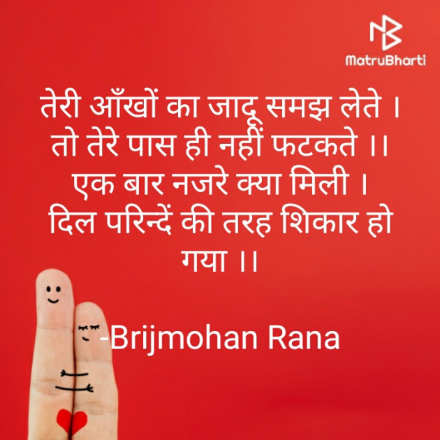 Hindi Shayri by Brijmohan Rana : 111573010