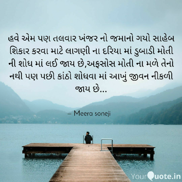 Gujarati Blog by Meera Soneji : 111573146
