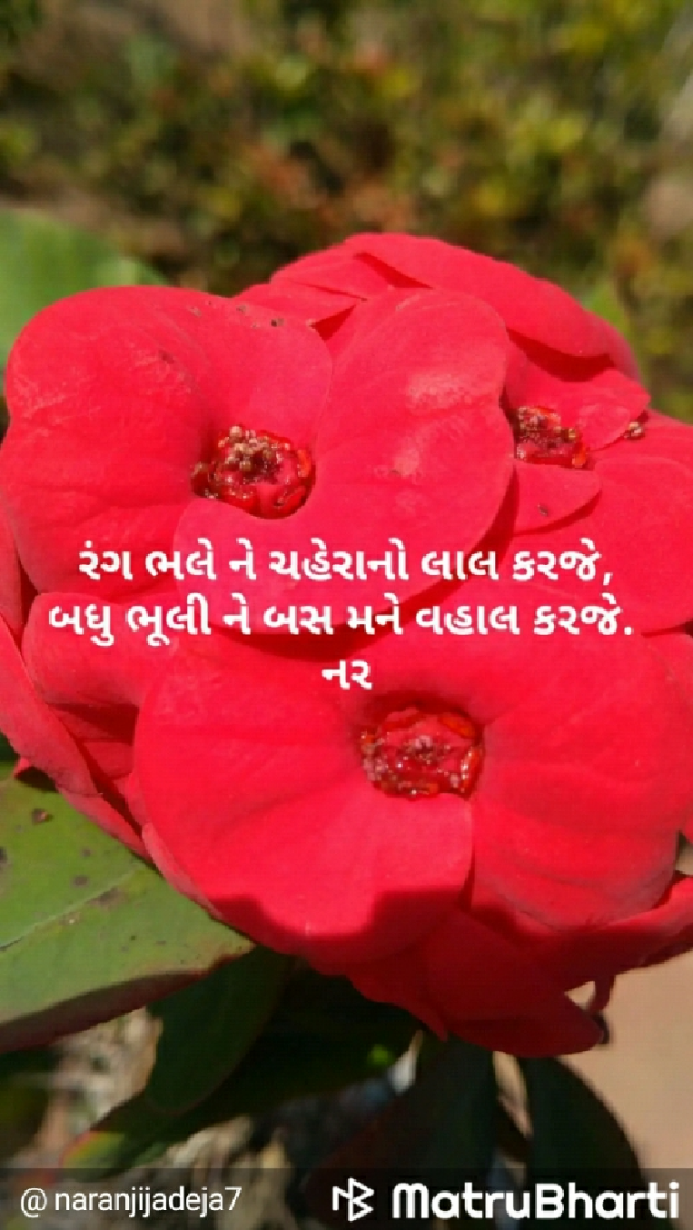 Gujarati Shayri by Naranji Jadeja : 111573315