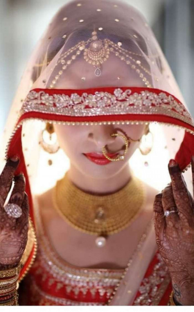 Hindi Blog by Parmar Vanrajsinh : 111573592
