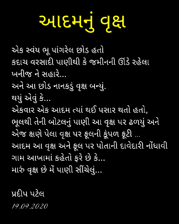 Gujarati Story by Pradip : 111573727