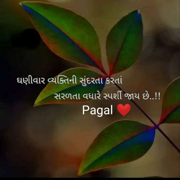 Gujarati Whatsapp-Status by Manoj Leuva : 111574147