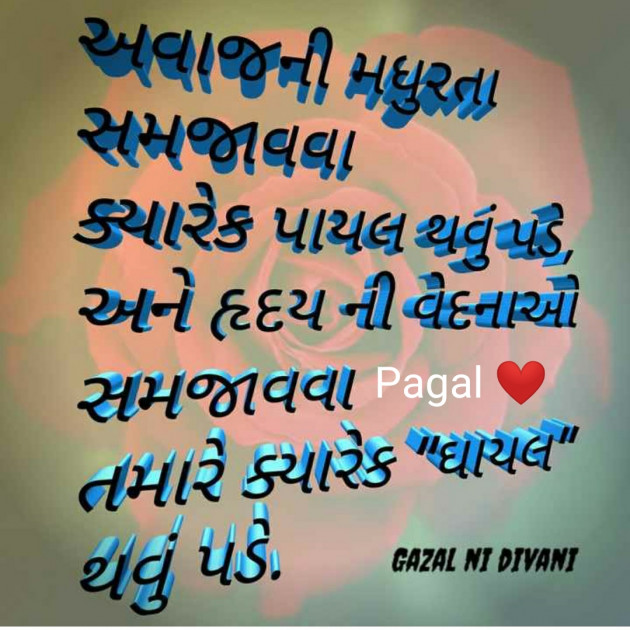 Gujarati Whatsapp-Status by Manoj Leuva : 111574160