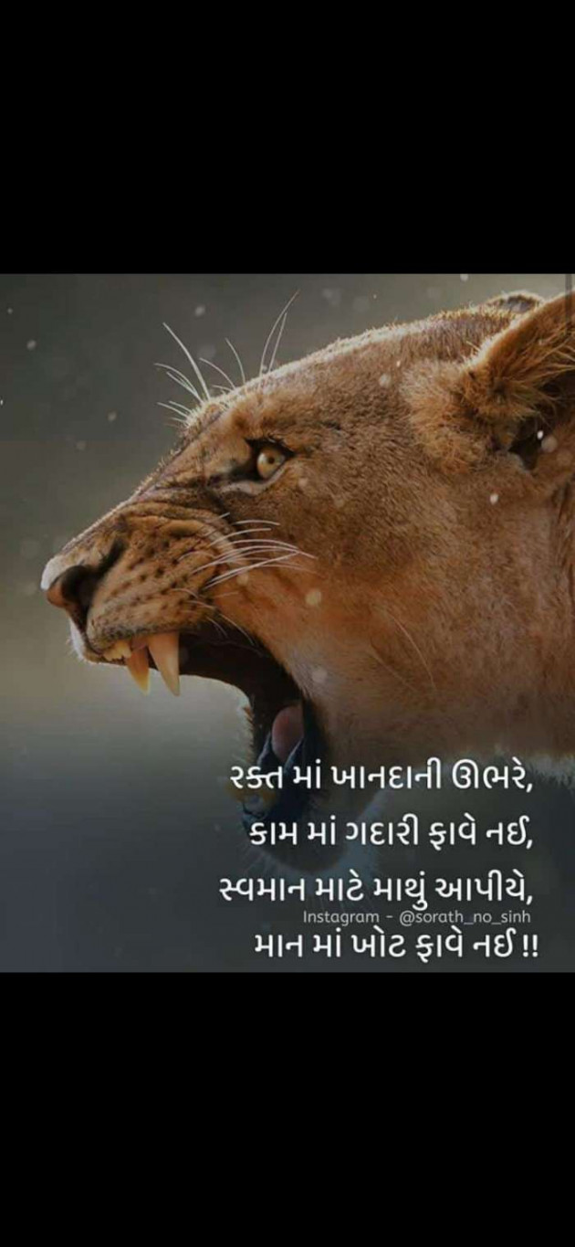 Gujarati Quotes by Bharati chavda : 111575220