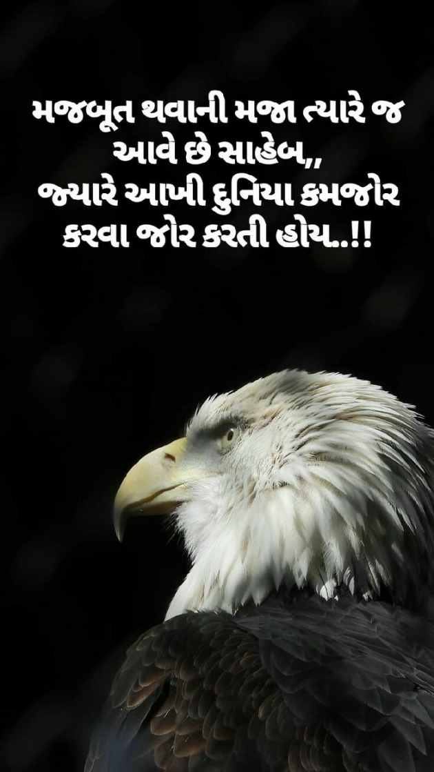 Gujarati Quotes by Mish : 111575975