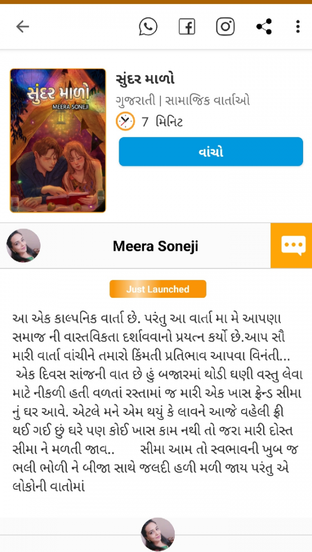 Gujarati Blog by Meera Soneji : 111576178