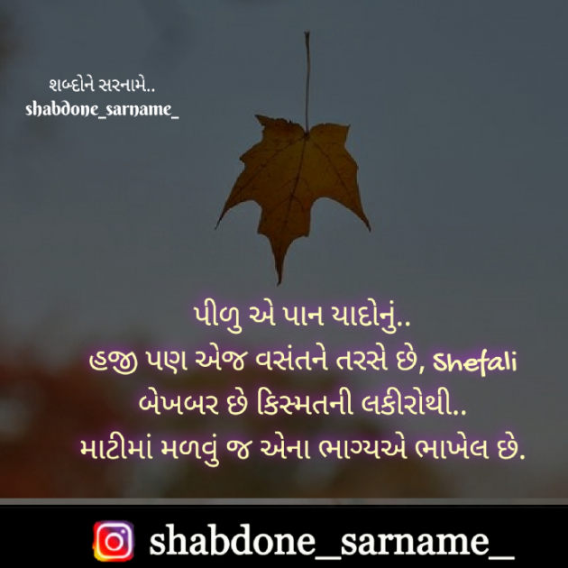 Gujarati Shayri by Shefali : 111576260