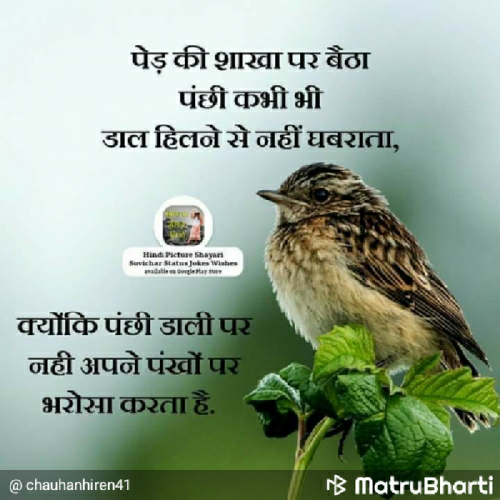 Post by Chauhan Hiren on 23-Sep-2020 09:16am