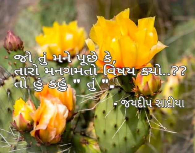 Gujarati Romance by જયદિપ એન. સાદિયા : 111576484