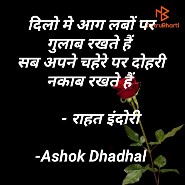 Hindi Shayri by Ashok Dhadhal : 111576787