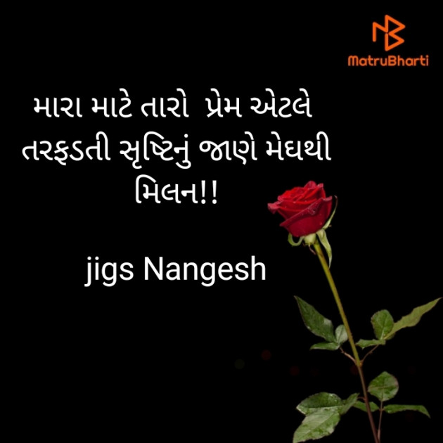 Gujarati Blog by Nangesh Jashi : 111578202