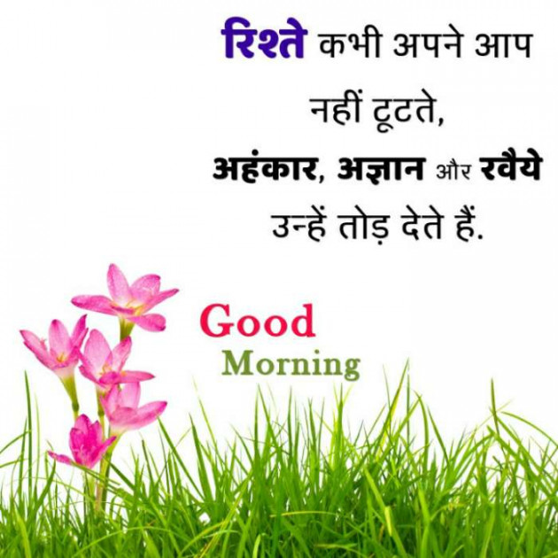 Hindi Good Morning by Rajkumar : 111579124